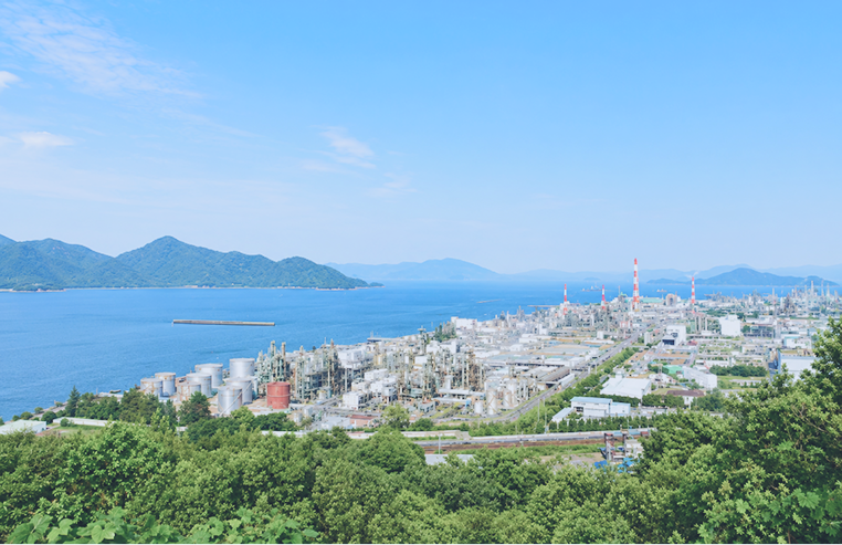 正木商事について